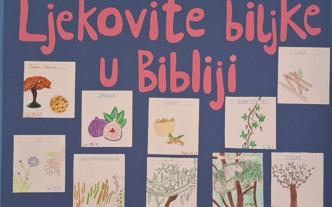 Ljekovite biljke u Bibliji