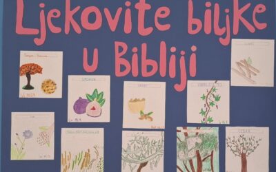 Ljekovite biljke u Bibliji