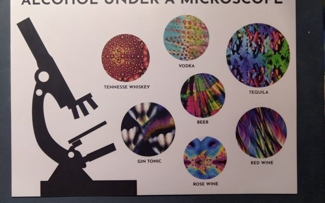 Učenici sedmih i osmog razreda u Kazalištu „Žar ptica“ i Muzeju mamurluka