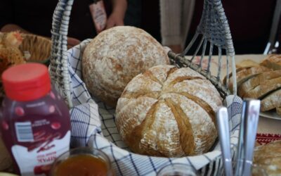 Prvi festival kruha- Kruh naš svagdašnji – baština, održivost, budućnost
